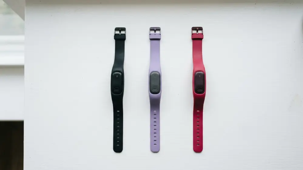 Fitbit Air wristband color options laid out flat